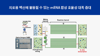 최성욱 교수 연구팀,  mRNA 연속 합성하는 미세유체장치 개발